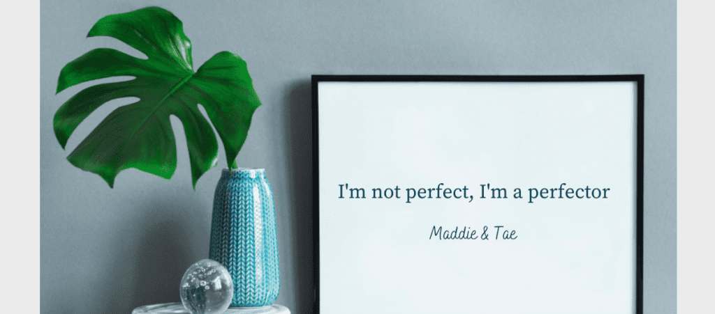 Maddie & Tae lyrics I'm not perfect, I'm a perfector