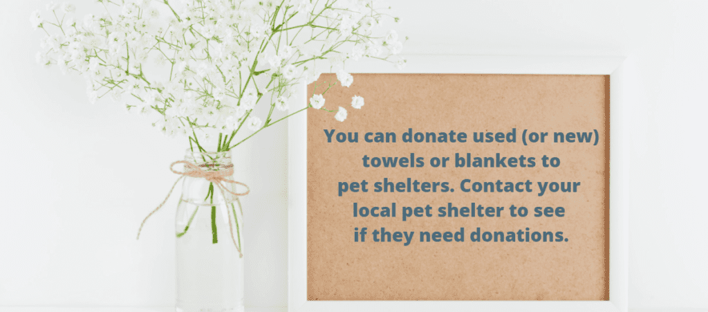 A tip stating that you can donate your old towels to local pet shelters